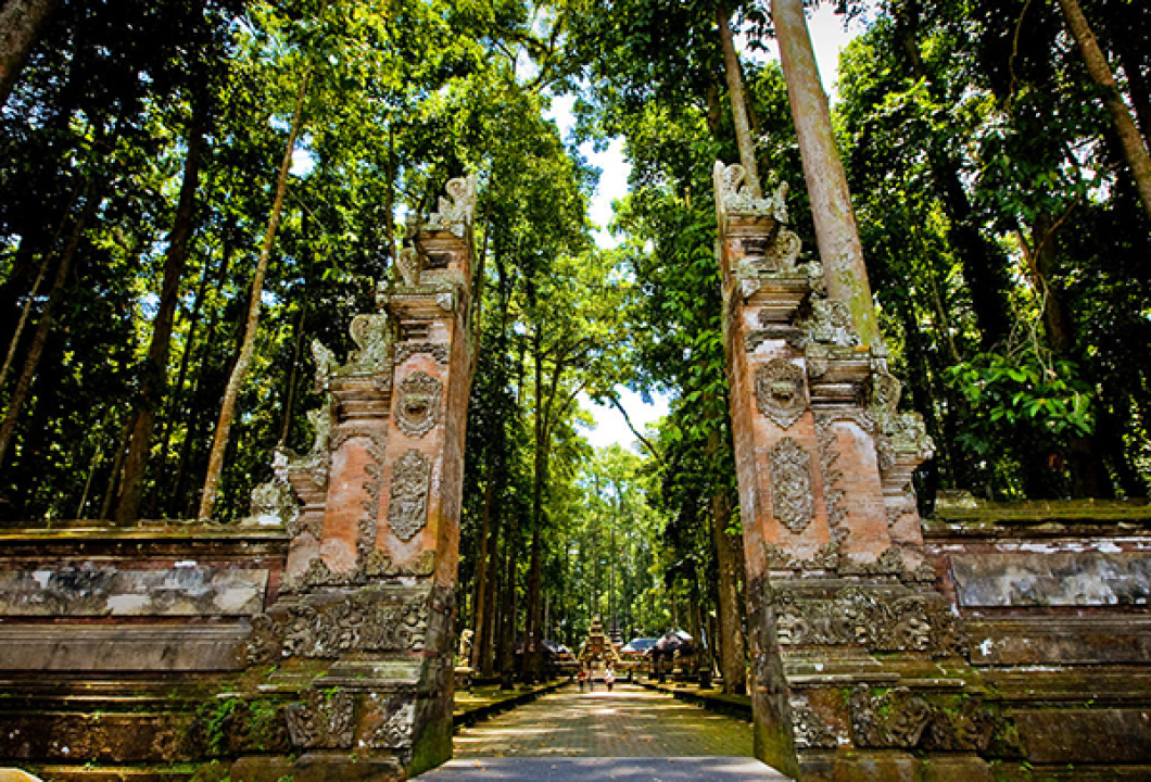 Ubud Turu - Yarım Gün