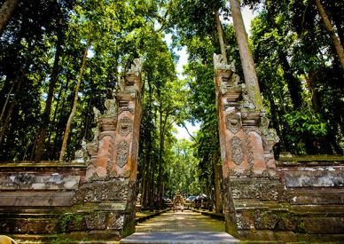 Ubud Turu - Yarım Gün
